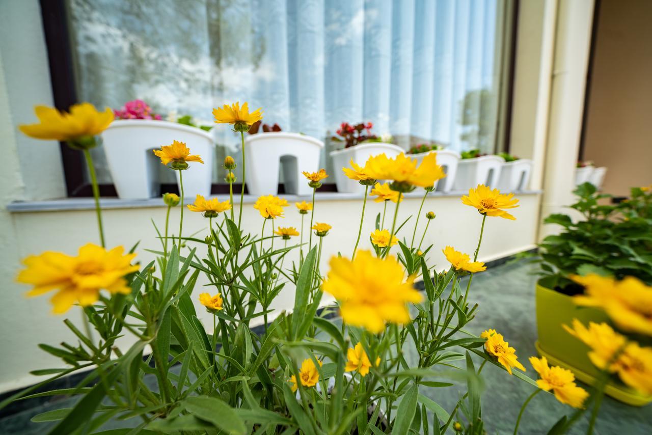 Hotel Villa Aljor Golem  Εξωτερικό φωτογραφία