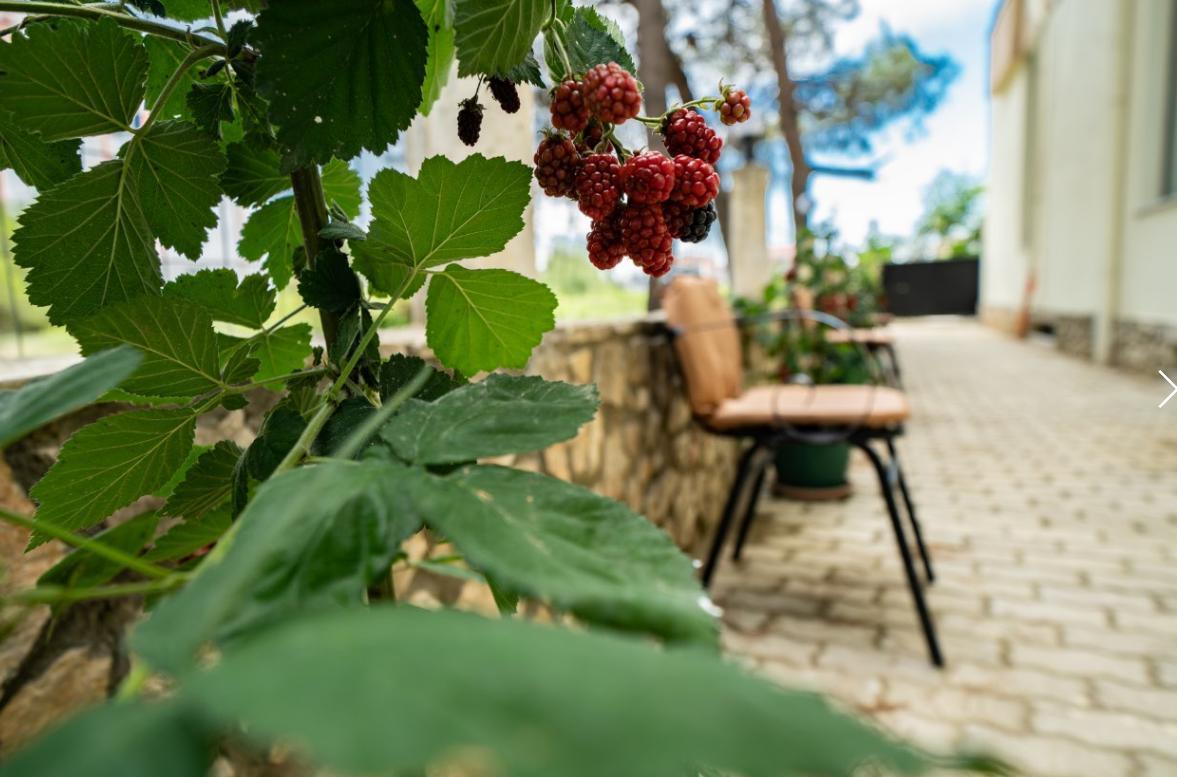 Hotel Villa Aljor Golem  Εξωτερικό φωτογραφία